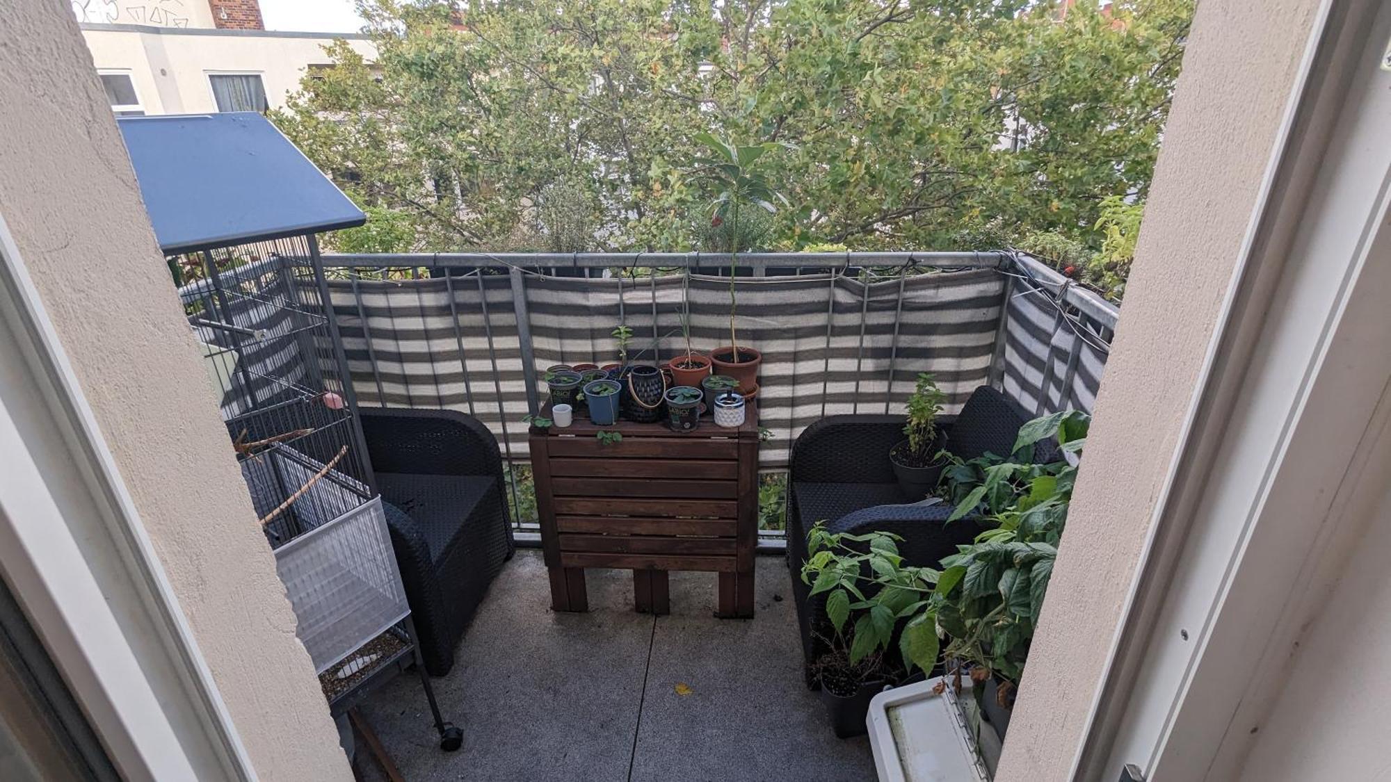 Apartamento Cosy Flat In Berlin'S Trendy Area Exterior foto
